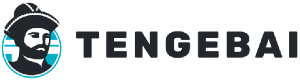 Tengebai.kz logo